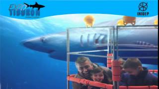 DIA 3 Expo Tiburon181