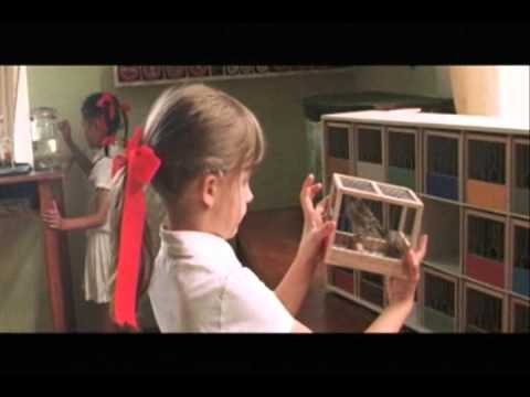 Innocence 2004  Parte 3