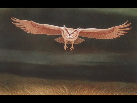 7  Droomdansen (Dream dancing)