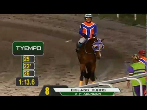 BIGLANG BUHOS - RACE 1 - FEBRUARY 13, 2020 - BAYANG KARERISTA HORSE RACING AT SANTA ANA PARK PRCI