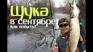 Как можно ловить щуку в сентябре