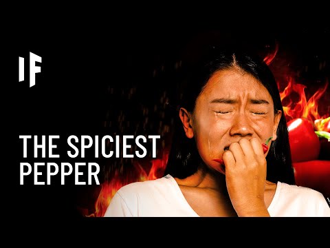 世界一辛い唐辛子を食べたら？ (What If You Ate the Spiciest Pepper in the World?)