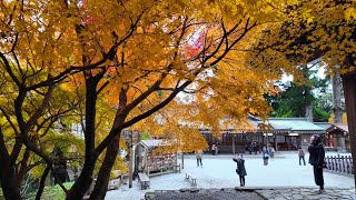 英彦山の紅葉2023