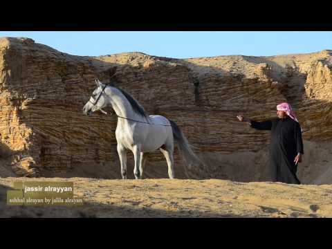 JASSER ALRAYYAN 2013 BY AHHAL ALRAYYAN AND ALJALILA ALRAYAN