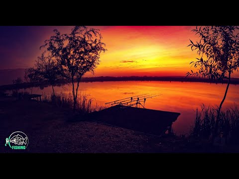 Pescuit la crap pe un lac nou nout