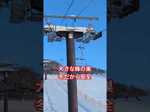 リフトの支柱に大きな空き家 #スキー #北海道 #東川町 #キャンモアスキービレッジ