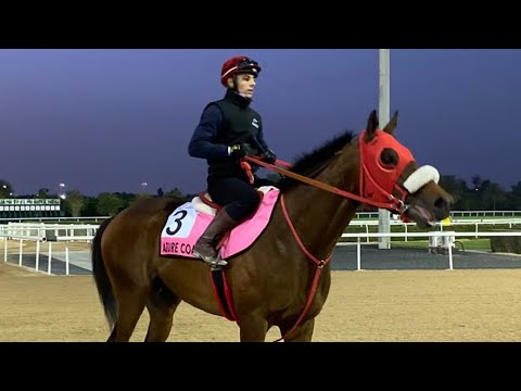 AZURE COAST (UAE Derby) - Work @ Meydan (19Mar22)
