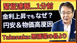 【衝撃】金利上昇なのに円安？物価高と日本経済の最悪シナリオの真因 #金利上昇 #円安 #日本経済