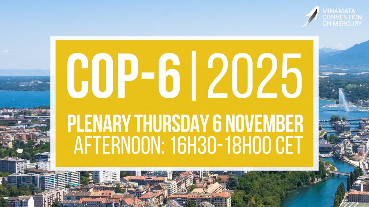 #MinamataCOP6: Afternoon Plenary (6 November 2025)