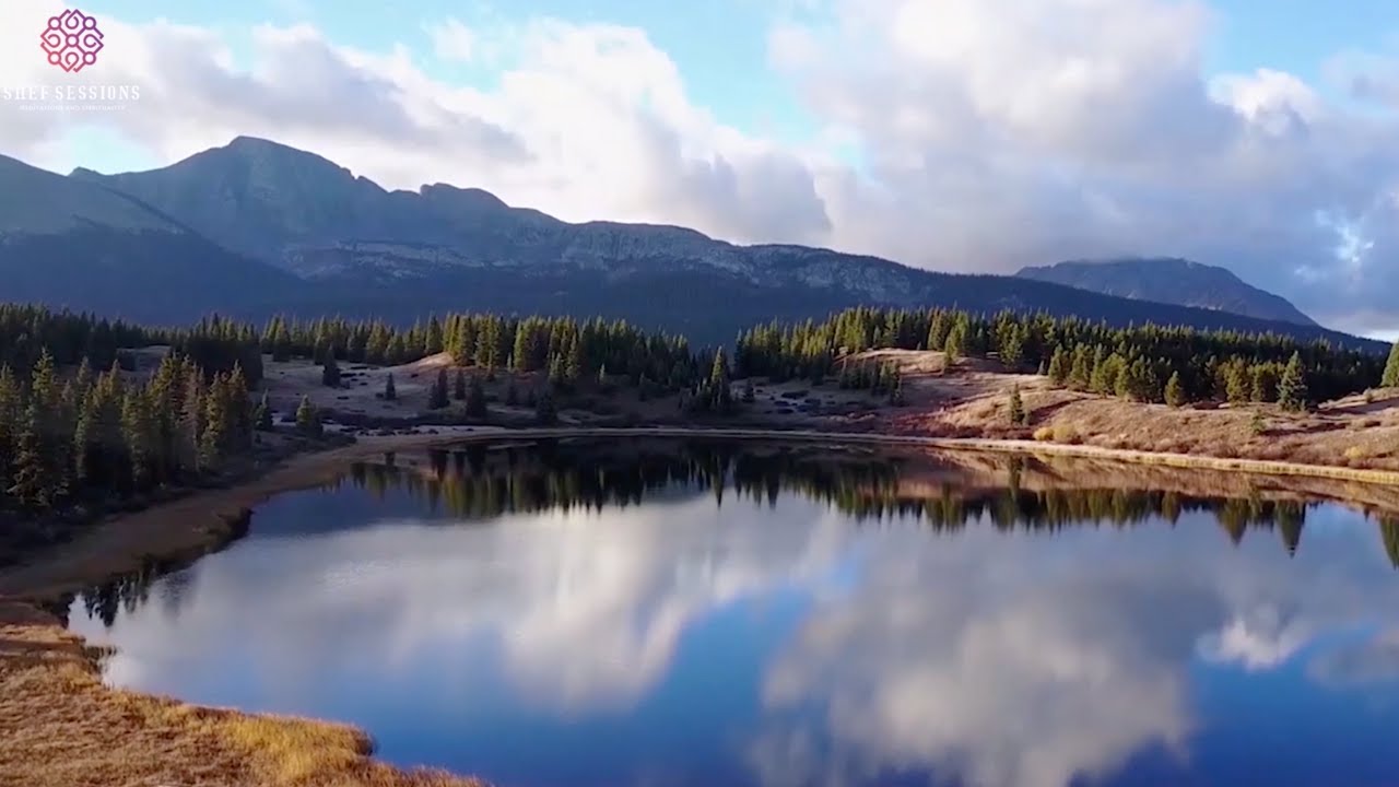 Divine Wellness Meditation | SHEF SESSIONS