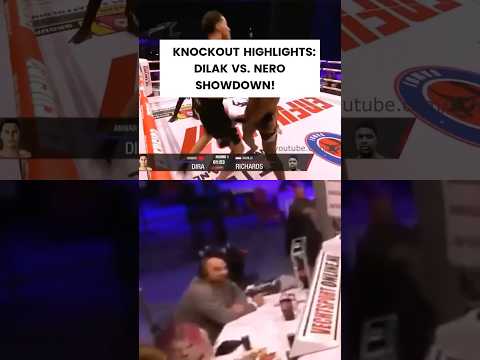 Most Savage MMA Knockouts You’ve Ever Seen!