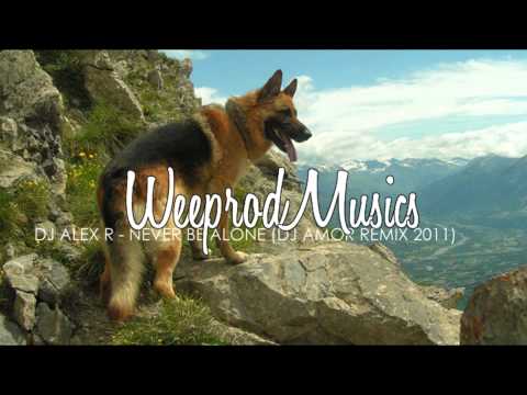 Dj Alex R - Never Be Alone (Dj Amor Remix 2011)