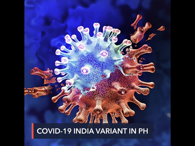 Philippines detects 2 cases of COVID-19 India variant