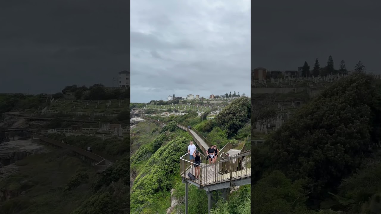 YouTube Short thumbnail