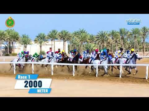 الشوط الأول - السباق التاسع - الرحبة 03/01/2019 Race 1-9th meeting