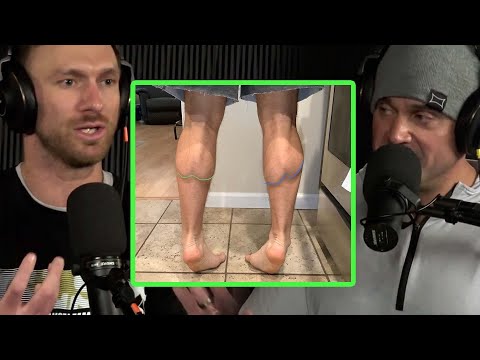 GOATA is Movement Maintenance