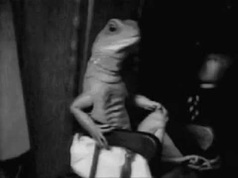 Video thumbnail for Hold The Organ