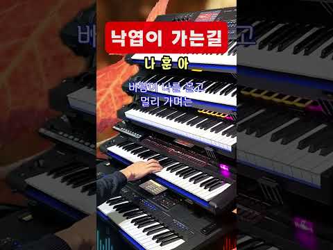낙엽이 가는길-나훈아/전자올겐연주/트로트/흘러간 옛노래