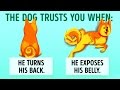 16 Useful Clues To Understand Your Dog Better
