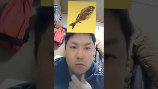 なんか焼き魚