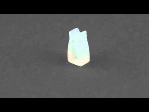 Inventory Control Clip, ICC-100
