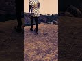 Ilamai Ennum Poongatru WhatsApp Status Tamil Ilayaraja Hits Alone Status Tamil Full Screen Hd