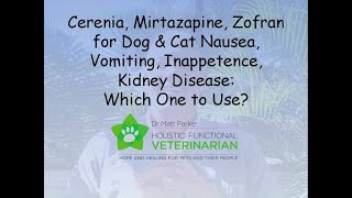 Cerenia, Mirtazapine, Zofran: Dog & Cat Nausea, Vomiting, Inappetence, Kidney Disease: Which to Use