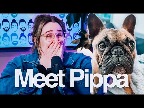 TONI LODGE introduces PIPPA - Toni and Ryan Podcast