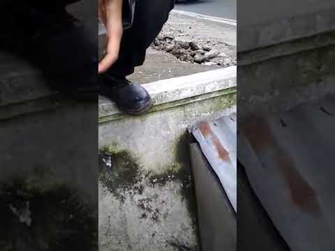 download lagu mp3 mp4 Paving Hollywood Indonesia, download lagu Paving Hollywood Indonesia gratis, unduh video klip Paving Hollywood Indonesia