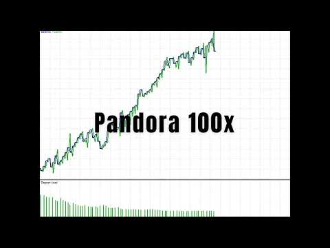 Video Pendora 100