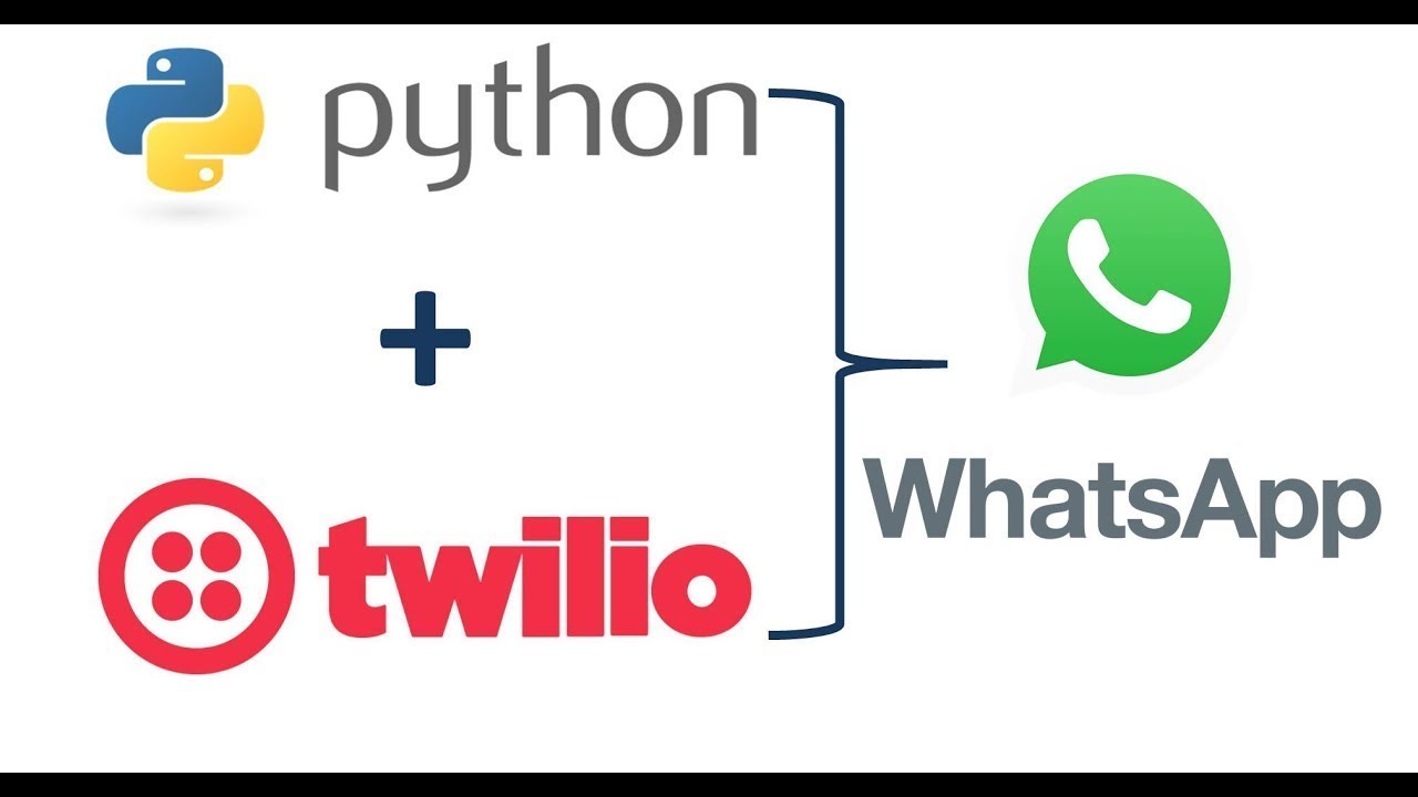 Python Twilio - Python Send Whatsapp Message - Twilio Whatsapp API - Python Twilio for Beginners