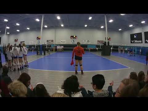 Kokoro 16-1 Vital 18-1 Gold