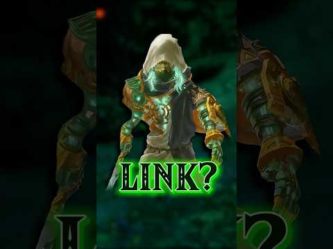 Is this construct Link? #zelda #ageofimprisonment #hyrulewarriors #link