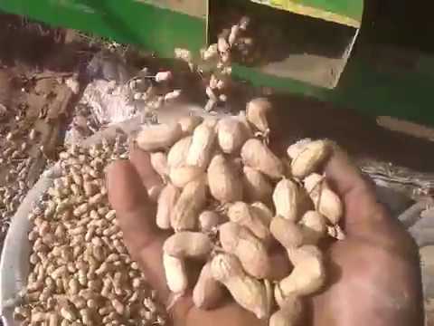 Groundnut Thresher