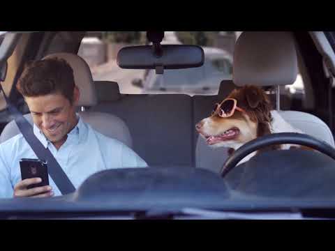 Relax and Get Ready for the Global Wealth Summit!