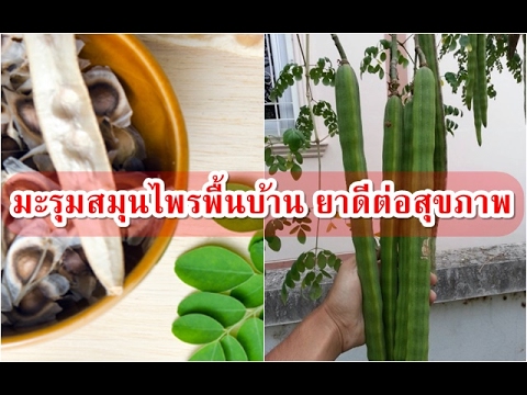 Immunal และความแข็งแรง ขยายขนาดอวัยวะเพศผ่าตัด