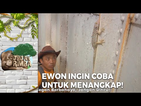 COBA MENANGKAP! Kadal Untuk Ewon Perkenalkan Ke Semua | JEJAK RIMBA EPS 30 (1/2)