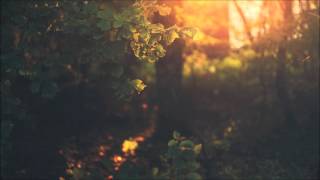 Lazy Sundays Chillout Mix #14 (2015)