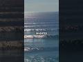 Are Foil Surfers RUINING Surfing?!