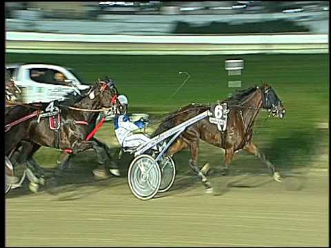 Trotto 20/11/2016 - 6ª corsa