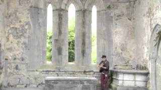 LUKA BLOOM: Give You Wings