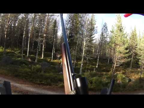 ÄLGJAKT 2014 Värmland