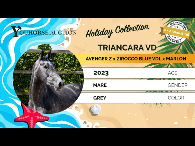 Triancara VD