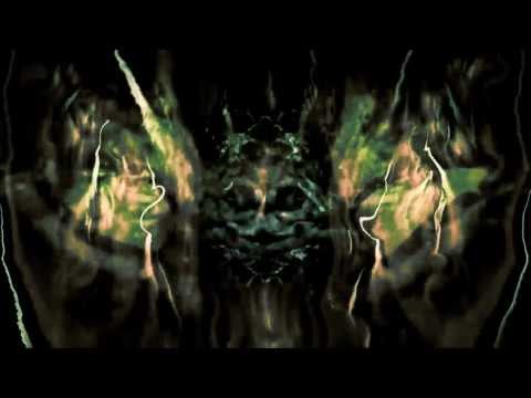 OhmikRon - Dimethyltryptamine