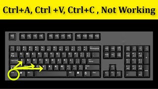 How To Fix Ctrl+A ,Ctrl+V, Ctrl+C Not Working Problem || Keyboard Not Working Problem Windows 10/8/7