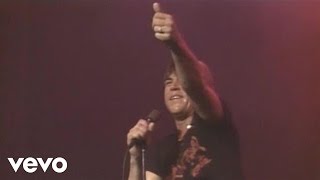 Molly Hatchet - Sweet Dixie  (Live)