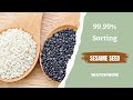 Color Sorter Optical Sorter Sesame Color Sorter Machine Sesame Sorting 99 99