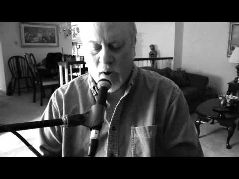 Lonely Days Bee Gees Cover