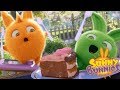 Videos For Kids Sunny Bunnies FUNNY BEHIND THE SCENES SEASON 2 Sunny Bunnies Special