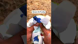 Cover art for Green or Funky?